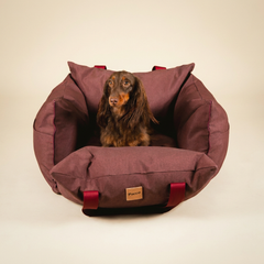 Bolsa de Transporte Cangú Explora Amora em estúdio, com dachshund sentado no interior acolchoado