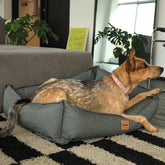Cama para Cachorro Impermeável Ecotec Lisa Cinza