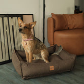 Cama para Cachorro Impermeável Ecotec Lisa Marrom