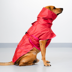 Capa de Chuva Pacco Aqua Paprika