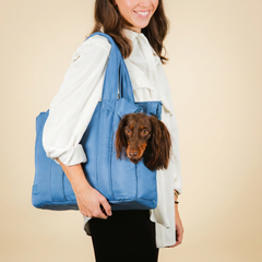 Bolsa de Transporte Pet Urban Azul no ombro, com dachshund espiando pela abertura lateral