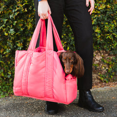 Bolsa de Transporte Pet Urban Rosa na rua, com dachshund espiando pela abertura lateral