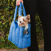 Bolsa de Transporte Pet Urban Azul em uso na rua, com yorkshire espiando pela abertura lateral