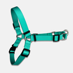 Peitoral para Cachorro Anti Puxão Aquarela Turquesa