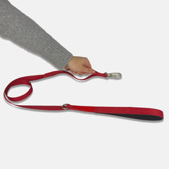 Guia para Cachorro Aquarela Rubi