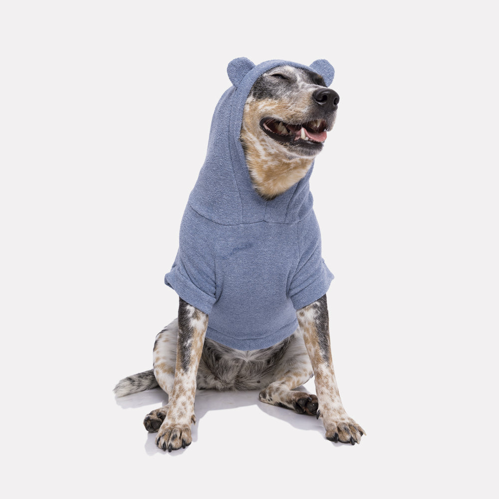 Cachorro de porte grande vestindo Blusão Sampa Azul da Pacco Pet