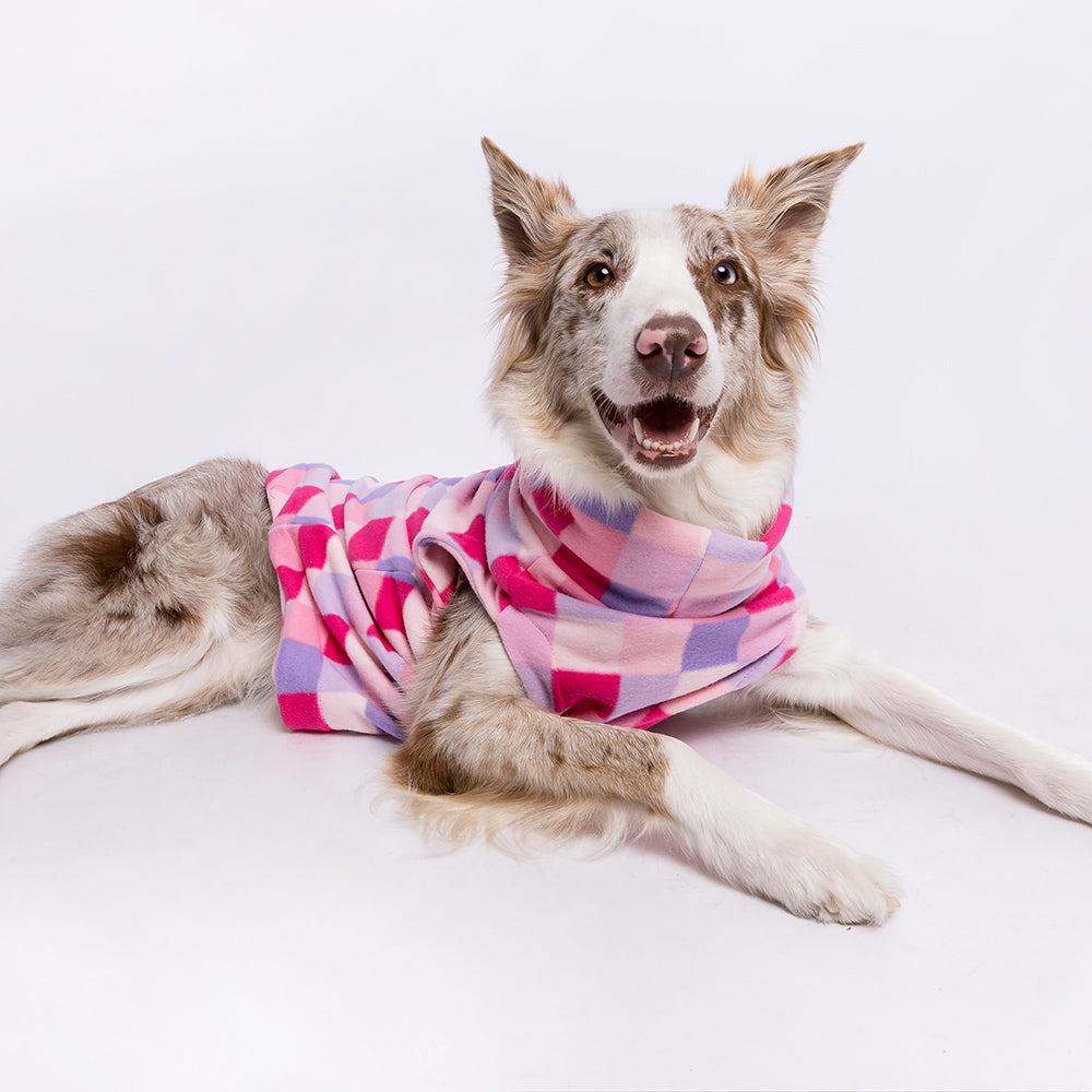 Cachorro aquecido com roupa de frio Pacco Pet