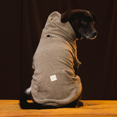 Roupa para Cachorro Blusão Sampa Kiwi