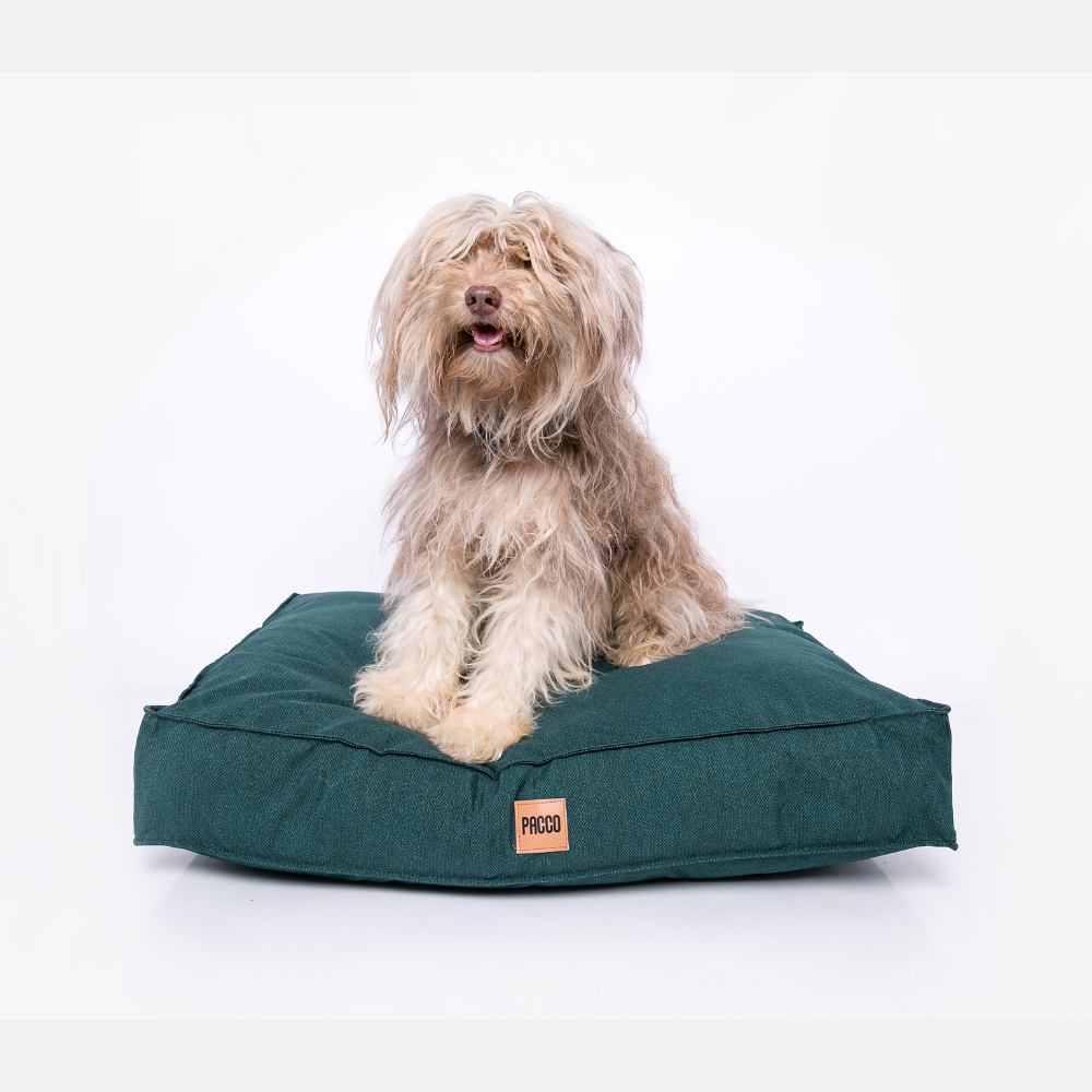 Cama Para Cachorro Futon Ecotec Verde