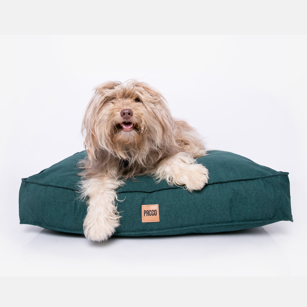 Cama Para Cachorro Futon Ecotec Verde