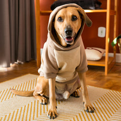 Roupa para Cachorro Moletom Pacco Duo Nude