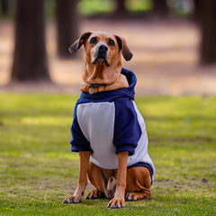 Roupa para Cachorro Moletom Pacco Duo Azul