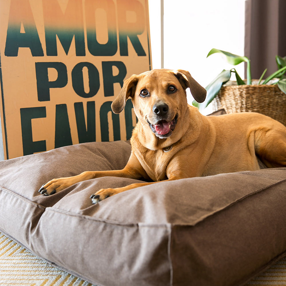 Cama Para Cachorro Futon Ecotec Marrom