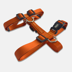 Peitoral para Cachorro H Aquarela Tangerina