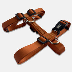 Peitoral para Cachorro H Aquarela Tangerina