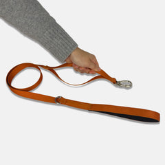 Guia para Cachorro Aquarela Tangerina