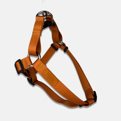 Peitoral para Cachorro Step In Aquarela Tangerina