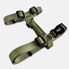 Peitoral para Cachorro H Aquarela Pistache