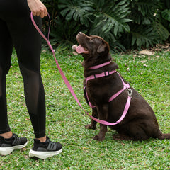 Guia para Cachorro Aquarela Rosa Pink