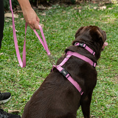 Guia para Cachorro Aquarela Rosa Pink