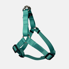 Peitoral para Cachorro Step In Aquarela Turquesa