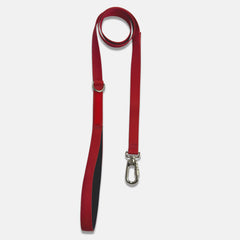 Guia para Cachorro Aquarela Rubi