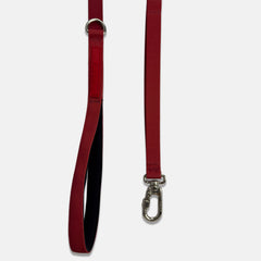 Guia para Cachorro Aquarela Rubi