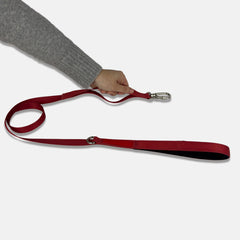 Guia para Cachorro Aquarela Rubi