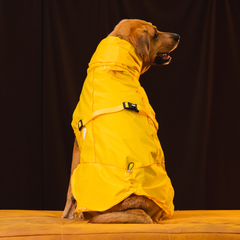 Capa de Chuva Pacco Aqua Amarelo
