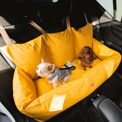 Bolsa de Transporte Cangú Explora GG Amarelo Solar ocupando todo o banco traseiro, com dois cachorros acomodados