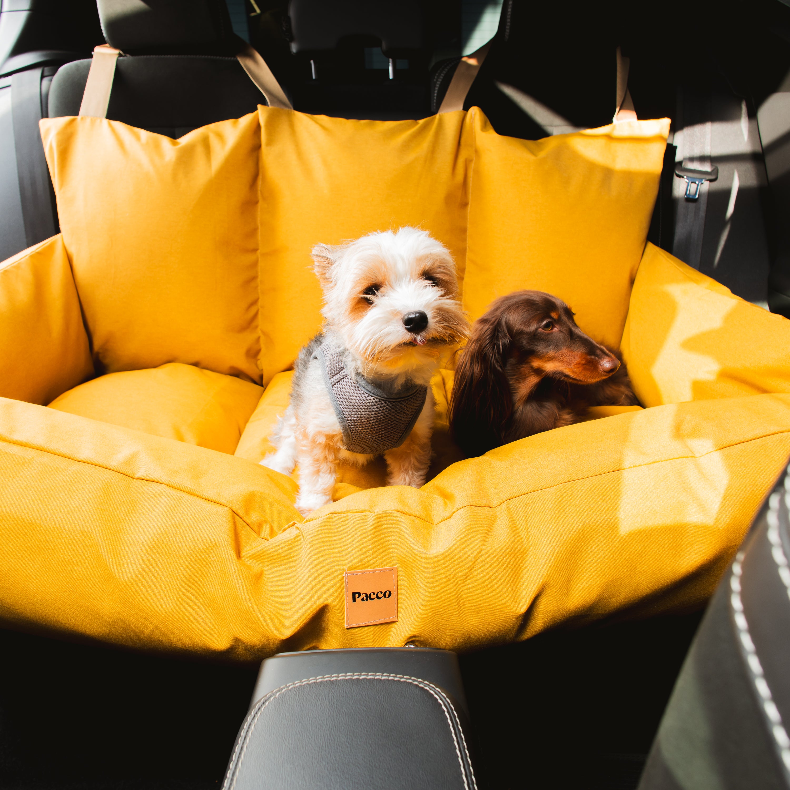 Bolsa de Transporte Cangú Explora GG Amarelo Solar com dois cachorros sentados lado a lado sobre a almofada interna