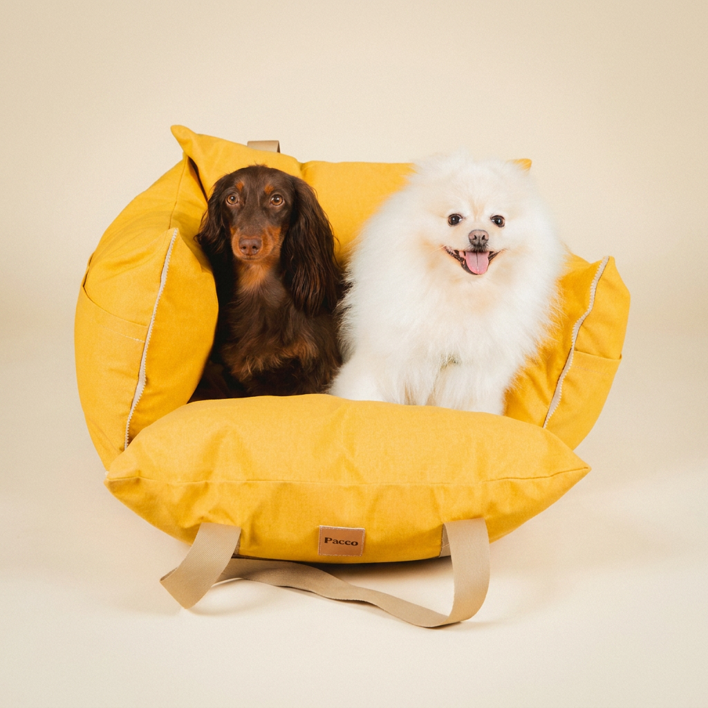 Bolsa de Transporte Cangú Explora Amarelo Solar aberta em formato de cama, com dois cachorros deitados lado a lado