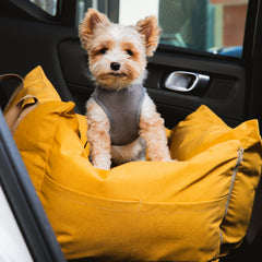 Bolsa de Transporte Cangú Explora Amarelo Solar no banco traseiro, com cachorro de pequeno porte em pé apoiado na lateral