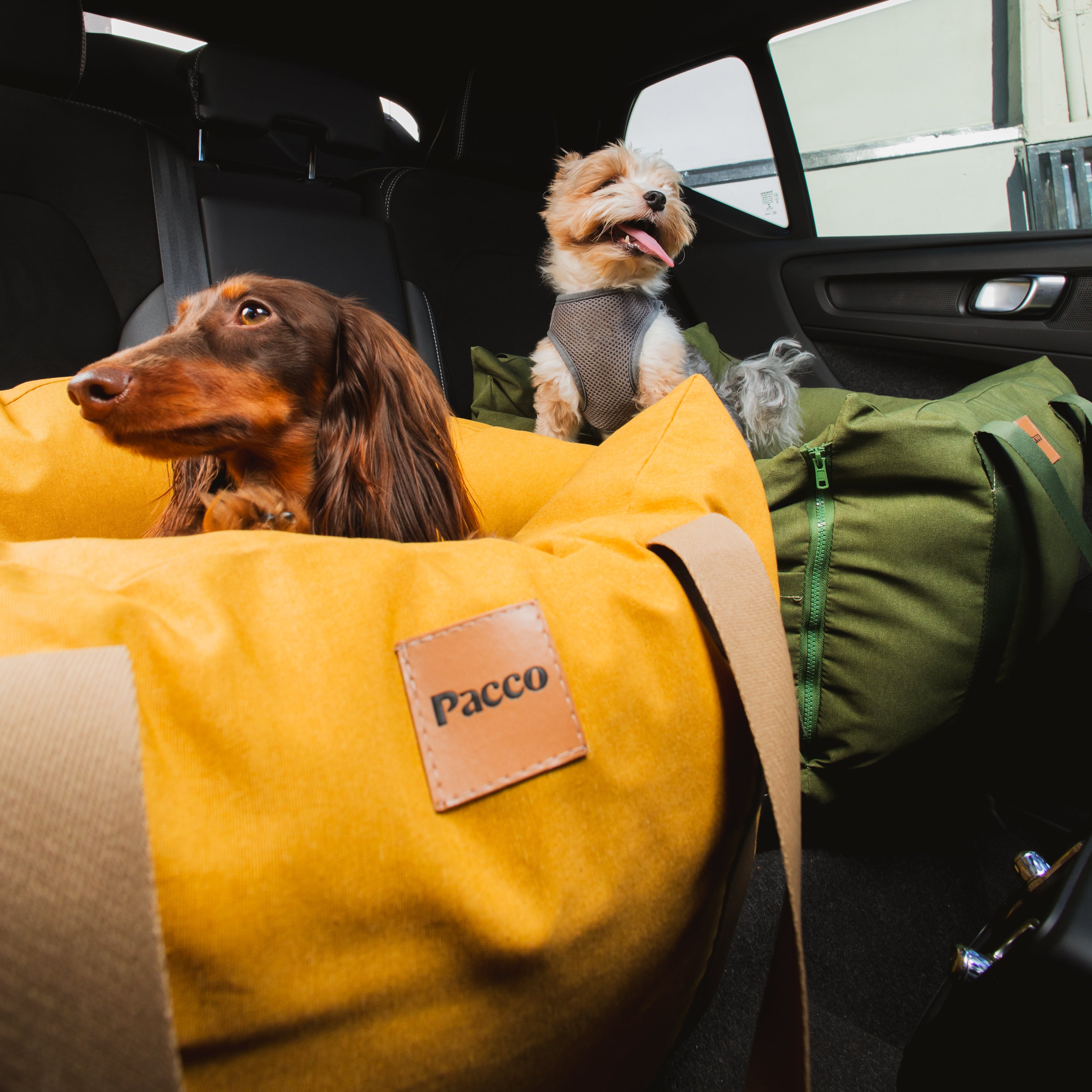 Bolsa de Transporte Cangú Explora Amarelo Solar no carro com dois cachorros, ao lado de uma mala de viagem verde