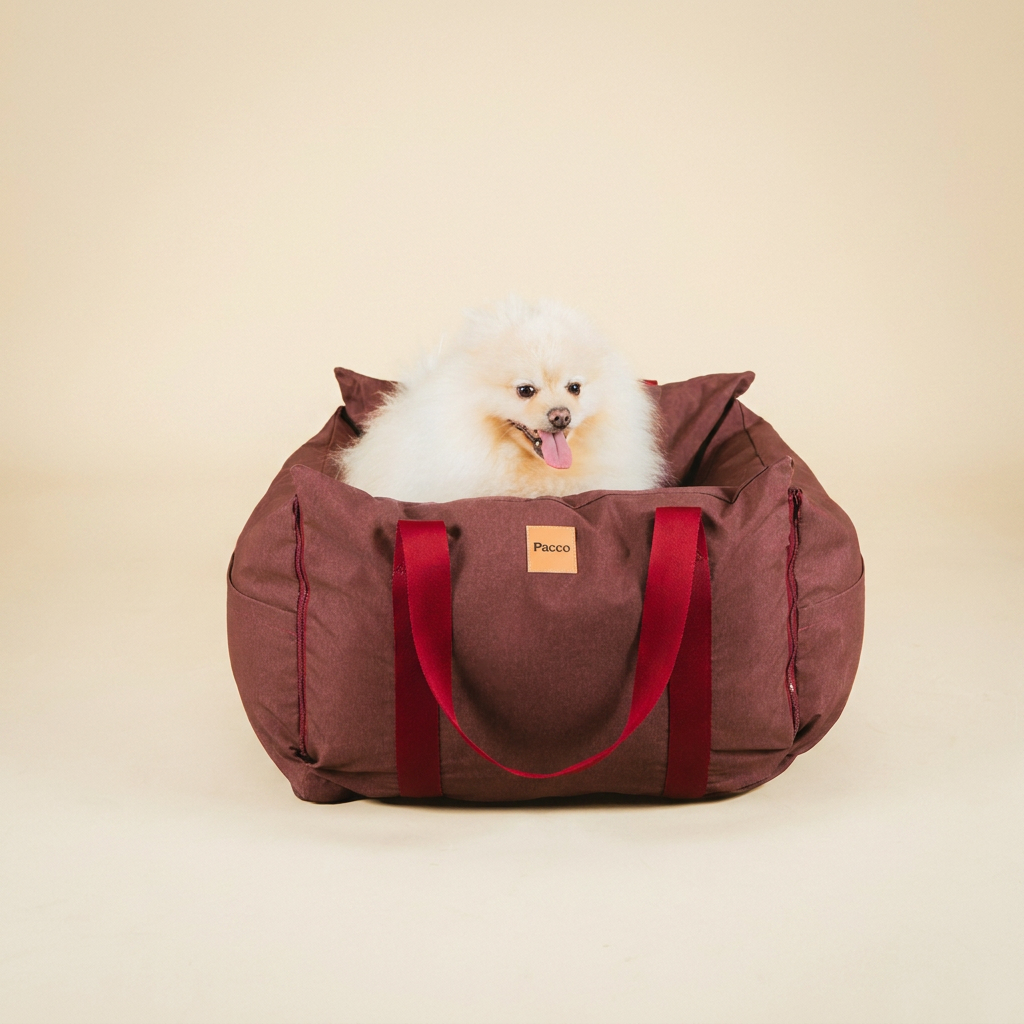 Bolsa de Transporte Cangú Explora Amora vista de frente, com lulu da pomerânia dentro e as alças no tom do produto