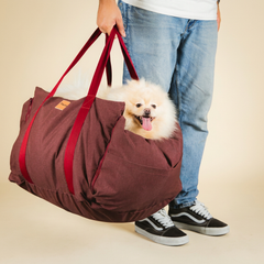 Bolsa de Transporte Cangú Explora Amora sendo carregada pelas alças, com lulu da pomerânia com a cabeça para fora