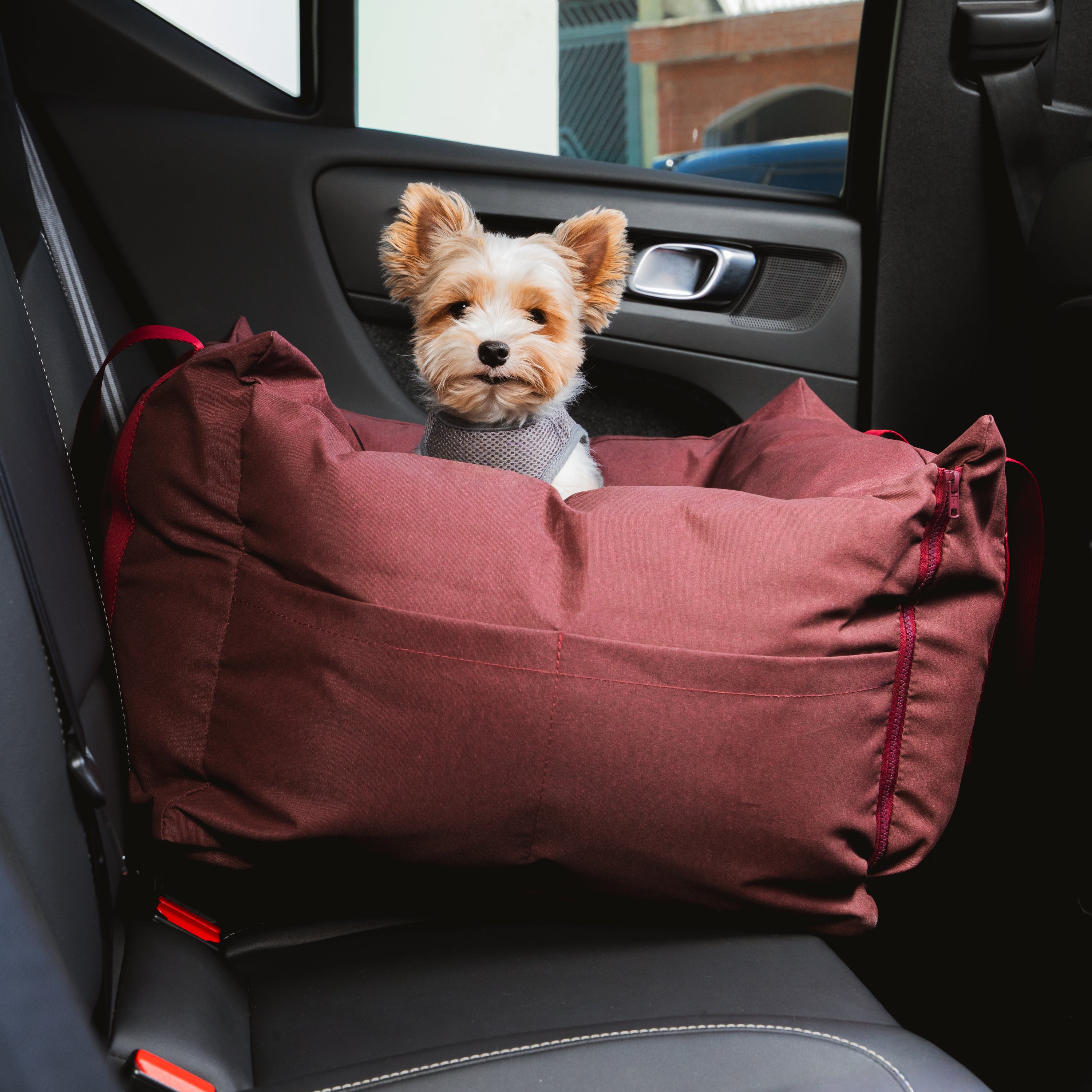 Bolsa de Transporte Cangú Explora Amora no banco traseiro do carro, com cachorro de pequeno porte olhando para fora