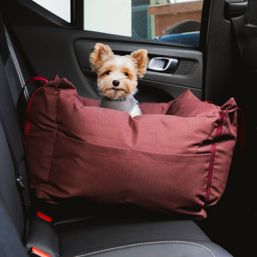 Bolsa de Transporte Cangú Explora Amora no banco traseiro do carro, com cachorro de pequeno porte olhando para fora