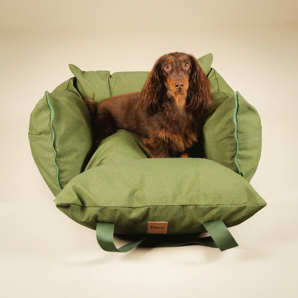 Bolsa de Transporte Cangú Explora Verde Bosque em estúdio, com dachshund deitado sobre a almofada interna