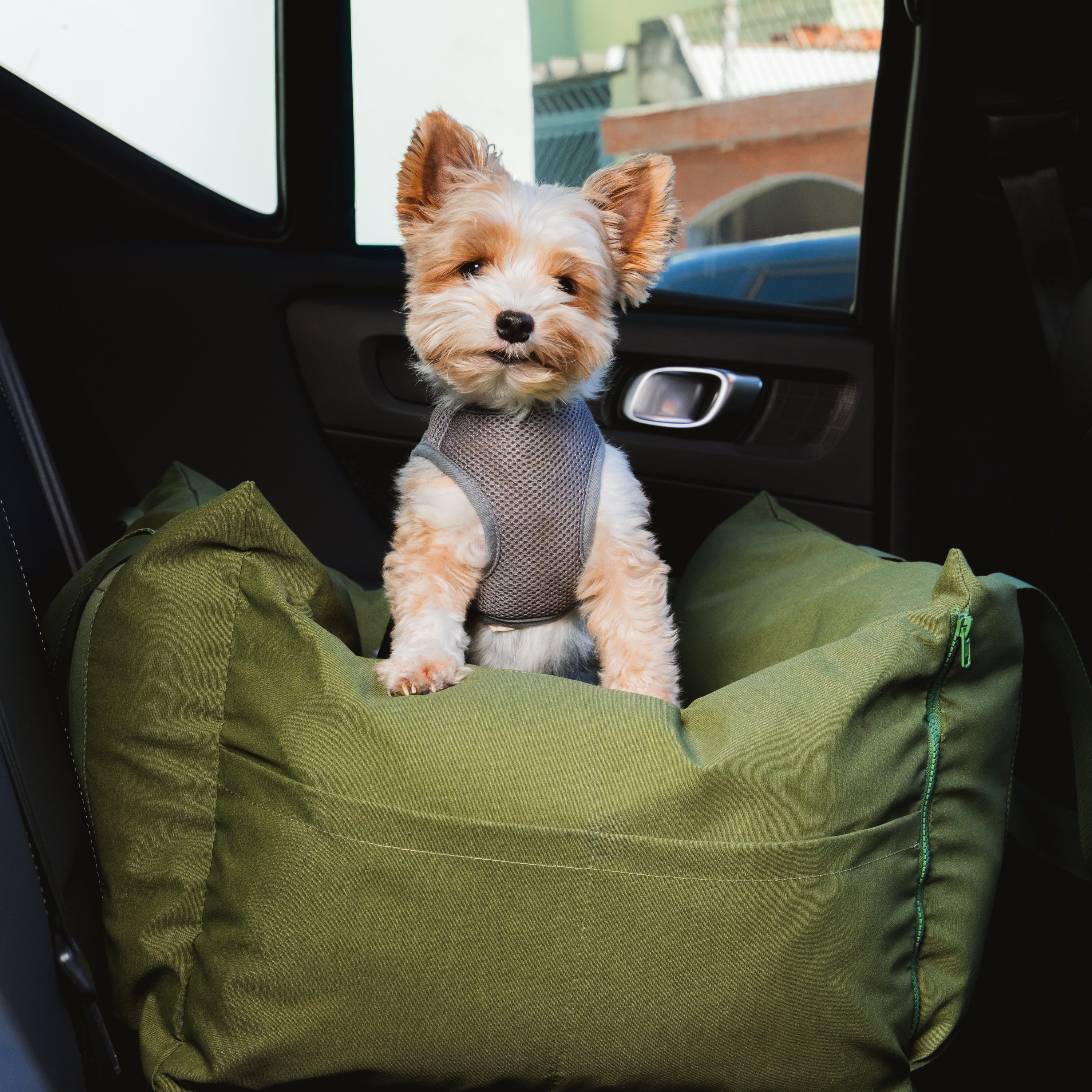 Bolsa de Transporte Cangú Explora Verde Bosque no carro, com cachorro de pequeno porte em pé apoiado na almofada frontal