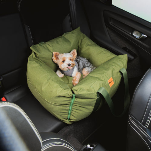 Bolsa de Transporte Cangú Explora Verde Bosque no banco traseiro do carro, com cachorro de pequeno porte deitado dentro
