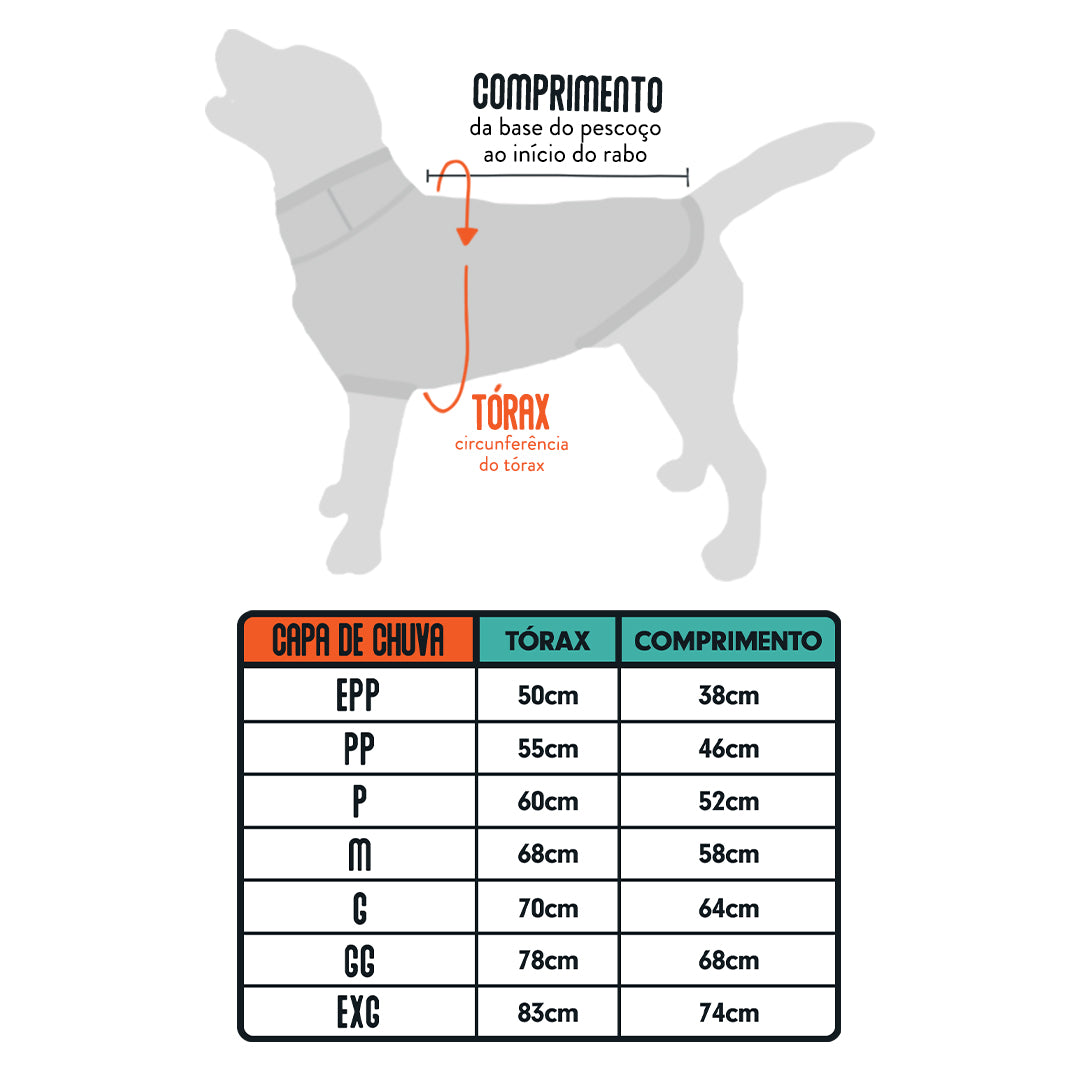 PACCO | Estilo e Conforto para Seu Pet