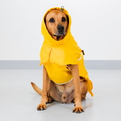 Capa de Chuva Pacco Aqua Amarelo
