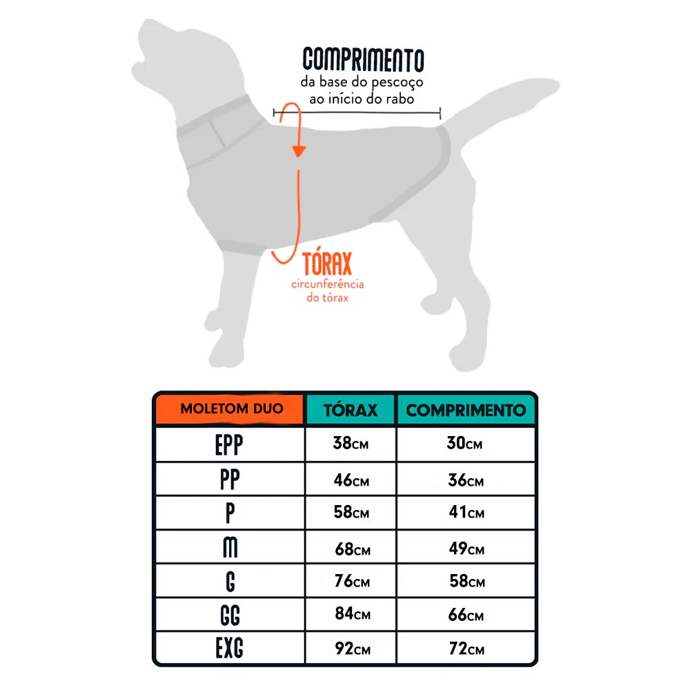 PACCO | Estilo e Conforto para Seu Pet