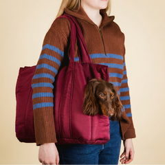 Bolsa de Transporte Pet Urban Vinho no ombro, com dachshund espiando pela abertura lateral