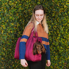 Bolsa de Transporte Pet Urban Vinho em uso, com dachshund espiando pela abertura lateral