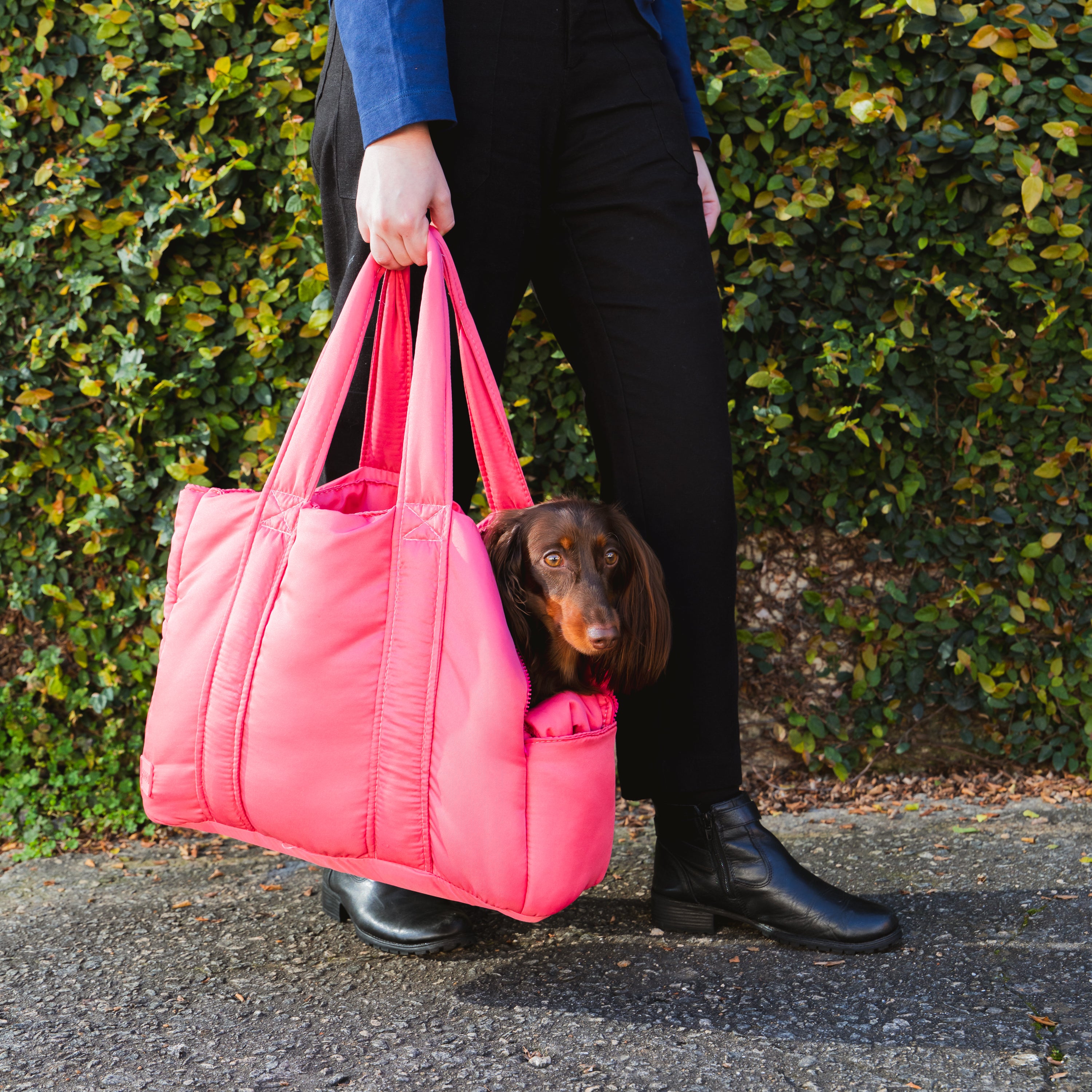 Bolsa de Transporte Pet Urban Rosa carregada na mão na rua, com dachshund acomodado no interior