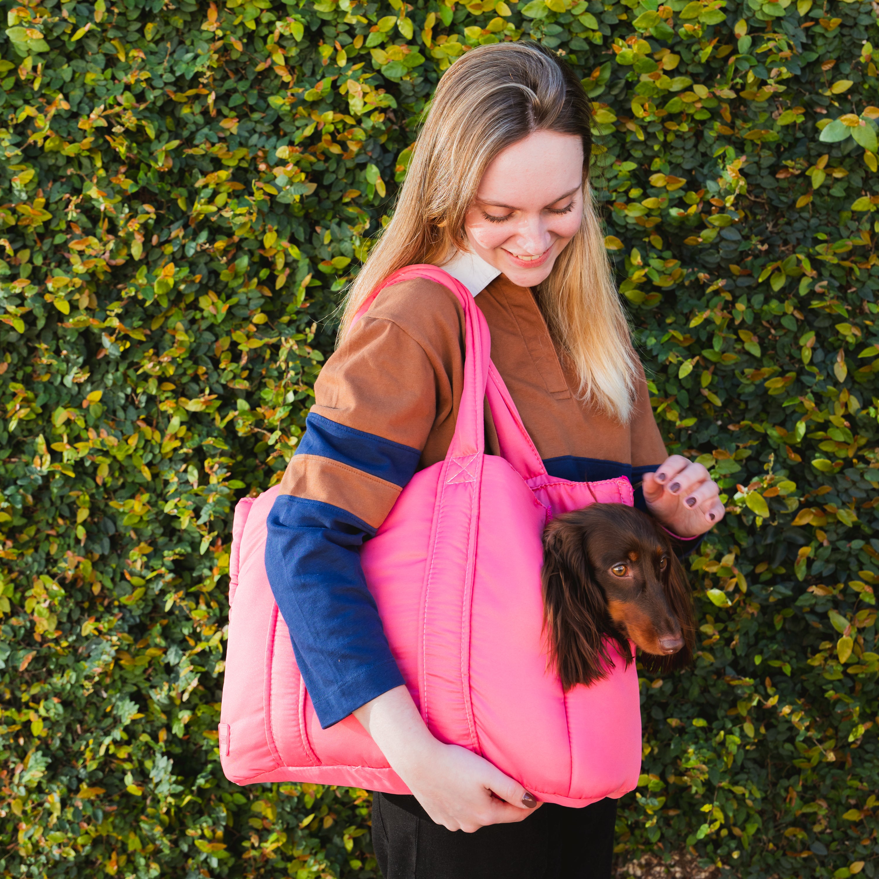 Bolsa de Transporte Pet Urban Rosa no ombro durante o passeio, com dachshund espiando pela abertura