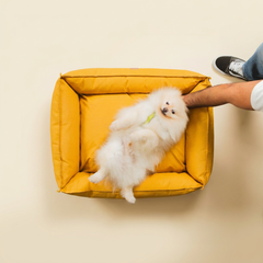 Cama para cachorro Ecotec Amarelo Solar, tecido resistente à água — vista 4