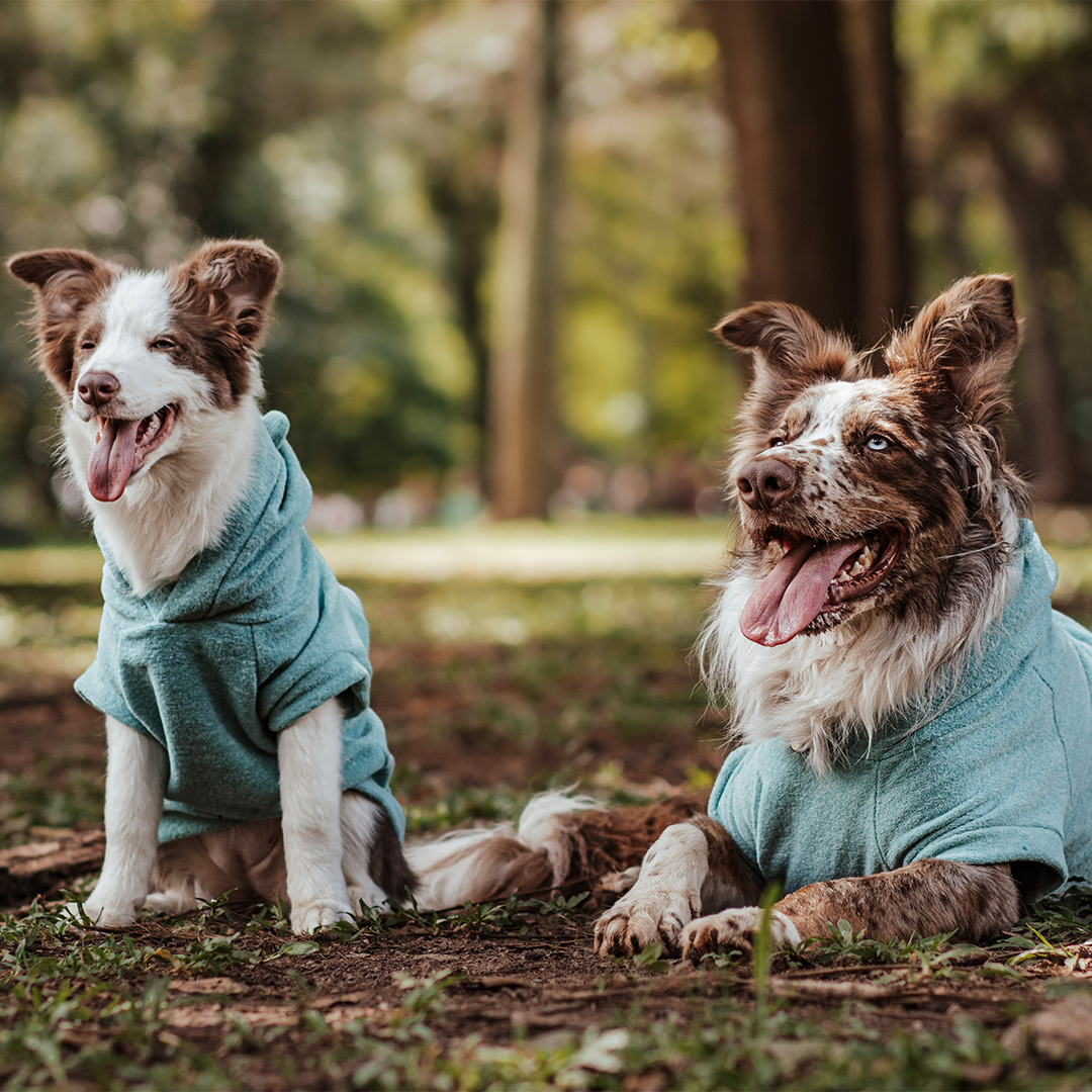 Roupa para Cachorro Blusão Sampa Verde